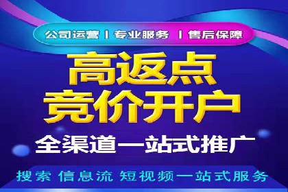 某公司通过百度竞价实现业务快速增长的案例