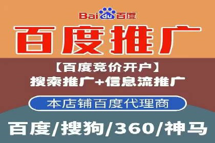 某知名品牌SEM运营策略及效果评估